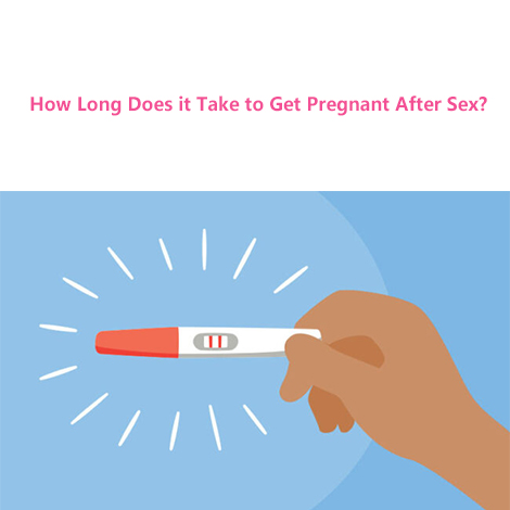 How Long Does it Take to Get Pregnant After Sex