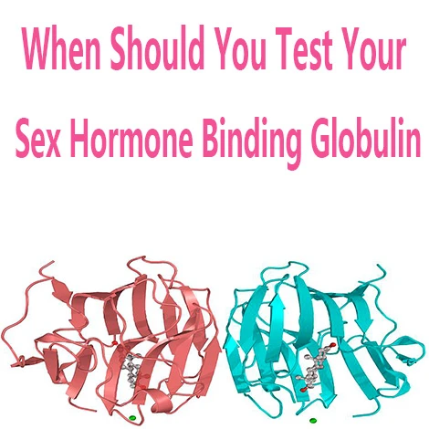 Sex Hormone Binding Globulin