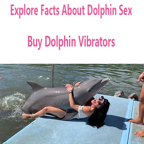 dolphin sex