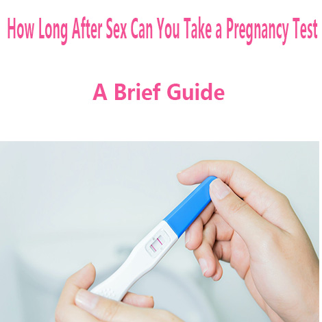 how long after sex can you take a pregnancy test