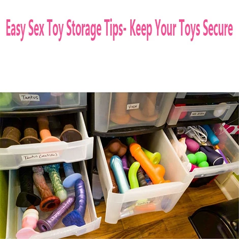 sex toy storage