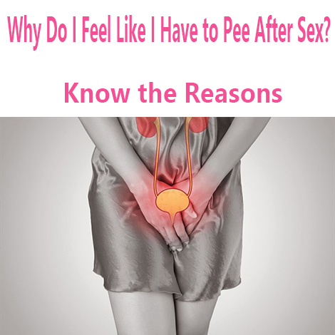 why do i feel like i have to pee after sex